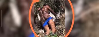 Man Caught Fucking A Donkey In Broad Daylight