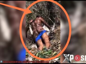 Man Caught Fucking A Donkey In Broad Daylight