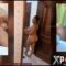 Nigerian TikTokers Sextape Leaks Online