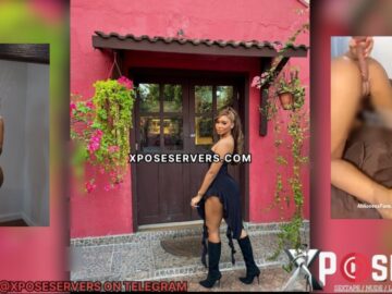 Silly Lost Poet Leak