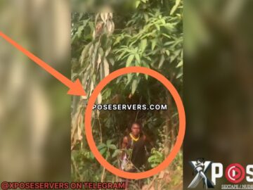 Screenshot_2025-07-21-12-23-56-308_com.frontrow.vlog-edit