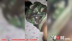 Trench Boy LÆaks V¡dℜo Of Himself Fℜcking Female Soldier Inside Barracks