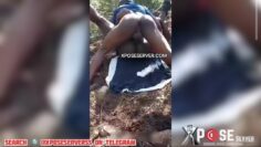 Viral Læks Video Of Musa Abdullahi Wife Zainab Caught Kn@ck!ng Ex Ahmed Suleman In Bush
