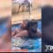 Pool Sæx Læks Of 2 Tæen Adaora Nwankwo And Chidi Eze Fvcking In Abuja Resort Pool – Kids Of Nowadays No Get Shame O!
