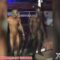 Humiliating Næked Læks Of Lagos Big Boys Segun & Femi Stripped Raw In VI Club After Failed Råp€ & Theft