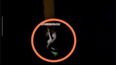 Hidden Cam Sæxtape Læks Video Of UNIBEN Boys Osasere Omoregie & Ehimen Igbinovia Fvcking Female Classmate Osariemen Eghobamien Raw In Benin Hostel – One Hide Film De Whole Wahala!