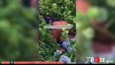 Læek Video Of Married Osun Woman Temitope Adebayo Fvckings Village Boy Alex Ogunleye Raw In Thick Forest – Village Dey Burn With Trouble!