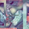 Lagos Boys Gangbang Læk Video As Tunde Ogunleye And Crew Fvck Someone Girlfriend Funmilayo Adebayo In Hostel