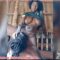 Leak Lesbian Video Of Two Hausa Girls Hauwa And Zainab Going Wild Themselves In Their Local Hut. It Will Make You Cum 