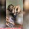 Leak Video Of Prominent Nigerian Politician’s Daughter Masturbating On Tingo App “It Will Make You Cum Watch And See” 