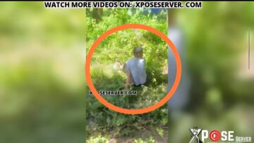 Leak Sextape Video Of Man Fucking A Pig In The Bush – Why A Man Go Fuck Pig, Things Dey Happen