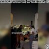 citrus_1784156613026_0